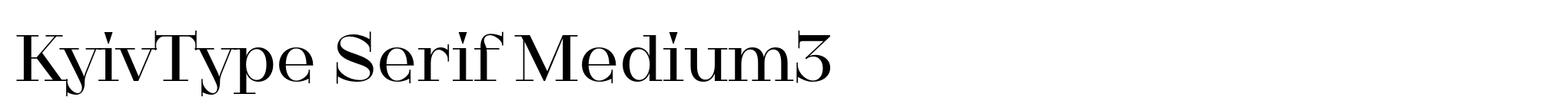 KyivType Serif Medium3 image